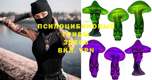 тгк Абинск