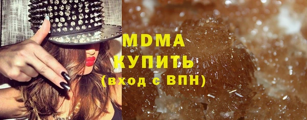 хмурый Пересвет