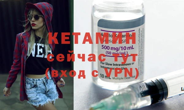 хмурый Пересвет