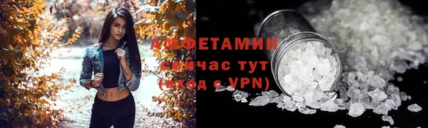 хмурый Пересвет