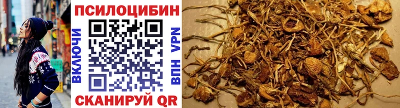 Псилоцибиновые грибы Psilocybine cubensis  купить наркотики сайты  МЕГА сайт  Нефтегорск 
