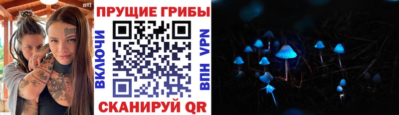 Галлюциногенные грибы мицелий Нефтегорск